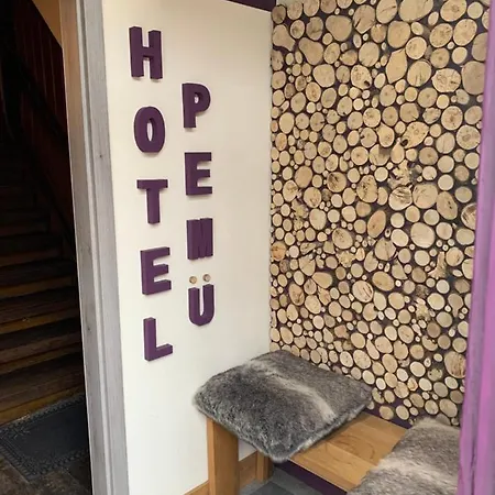Hotel Pemue 4*