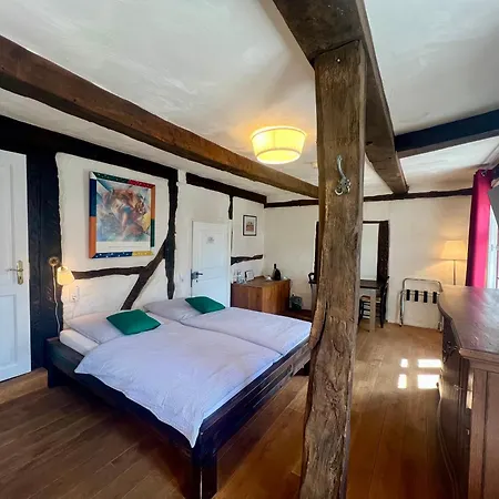 Hotel Pemue 4*